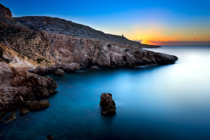 �R�����Z���g��˾    Maltese