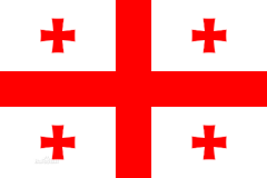 ���������Z���g��˾   Georgian