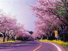 ���Z���g��˾      Japanese