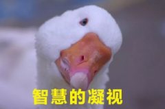 ��θ߼���ί��ر��_����ܴ����� ����7�N�ߴ��ϵ��f��