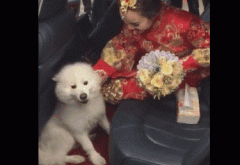 �Ҽ��_ĦҮ���S�ǂ���ħ���΢Ц��ʹ�������һ�ж����ҵ��e����