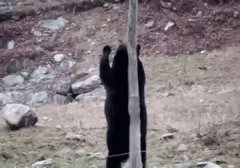 �����g��˾�������²����Ї��Ĺ�����ͨ���Y�������ַ��D�ˣ�