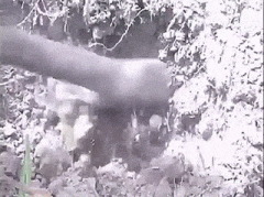 �D��ЦԒ����F�ړ��еģ����S���Ǆe�ˉ��������