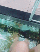 ��Ц���ӣ��҂��������Ů���������ӵ��w�(y��n)��