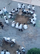 ��ЦЦԒ��������ďN����У�������@��(g��)���ӵ�