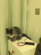 �韟��(du��)���w���ã��@λ��ÿ��ͳ邀(g��)���ĸ���