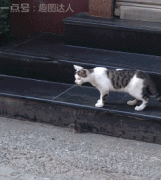 ������ �ҽ�����@���ұ��ܷ���(y��ng)����