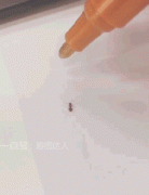 �[������һ�Ѽ��g(sh��)���Y(ji��)���@�͌����ˣ�