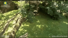 ����(gu��)�����P(gu��n)�T(m��n)����ֱ����؈����(hu��)�汻��������(gu��)�W(w��ng)��ը��ˡ���