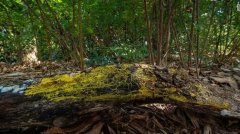 �������@չ��������������������������߀��720�N�Ԅe