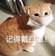 �ֿ�����sˤ��؈������鄣���քe��؟���ƽo���