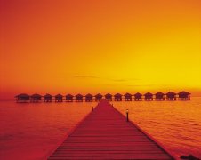 �����g��˾��ɽ��ٷ������~�ܡ���B���ķ��g