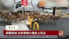 ����С¹��̩��(gu��)���ӡ�ˮ���^���Z�������g���w�����Ρ����](m��i)�뵽��(hu��)